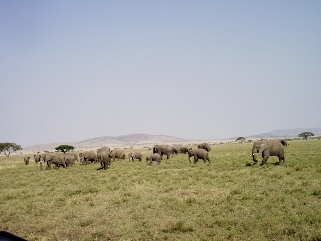 Tanzania 270
